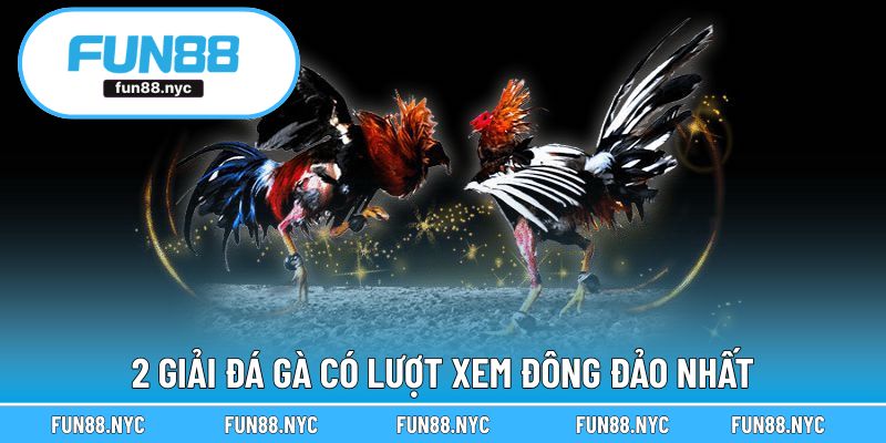 2 giải đá gà có lượt xem đông đảo nhất