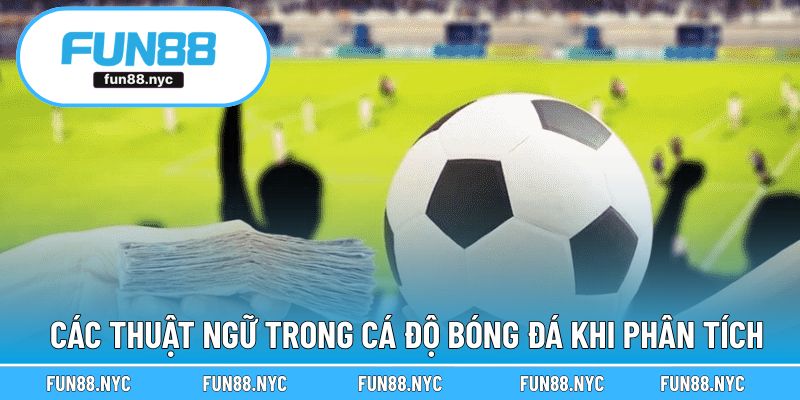 Các thuật ngữ trong cá độ khi thực hiện phân tích