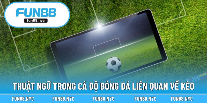 Những thuật ngữ trong cá cược bóng đá về kèo