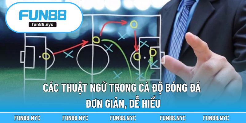 Các Thuật Ngữ Trong Cá Độ Bóng Đá - Đơn Giản, Dễ Hiểu