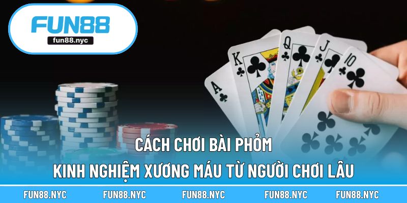 Cách Chơi Bài Phỏm - Kinh Nghiệm Xương Máu Từ Người Chơi Lâu