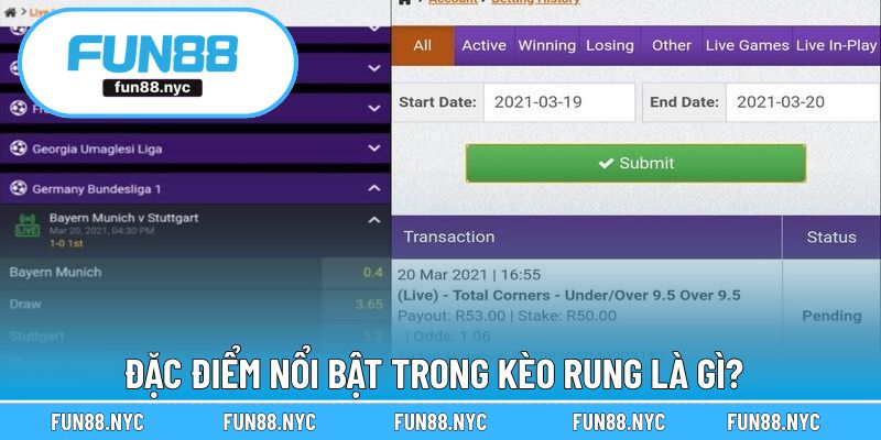 Đặc điểm nổi bật trong dạng kèo rung
