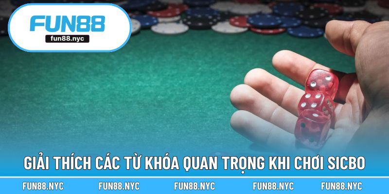 Giải thích các từ khóa quan trọng khi chơi Sicbo