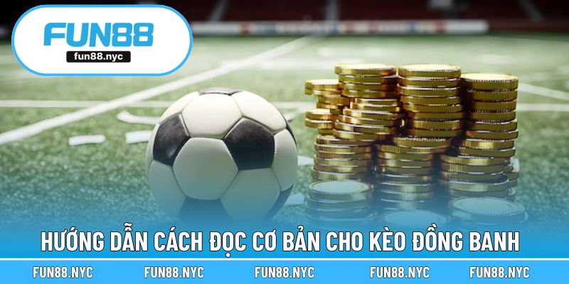 Hướng dẫn cơ bản cách đọc cho dạng đồng banh