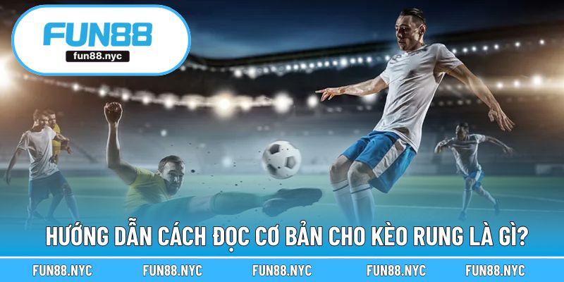 Hướng dẫn cách đọc cơ bản khi tham gia kèo rung