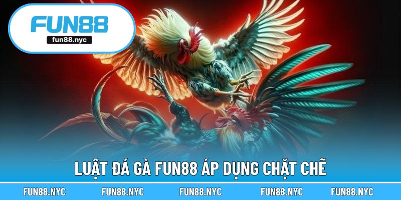 Luật đá gà FUN88 áp dụng chặt chẽ