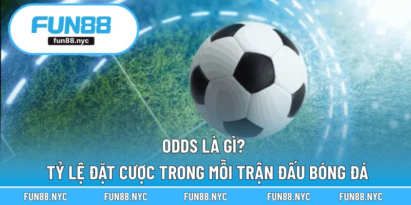 Odds Là Gì? - Tỷ Lệ Đặt Cược Trong Mỗi Trận Đấu Bóng Đá