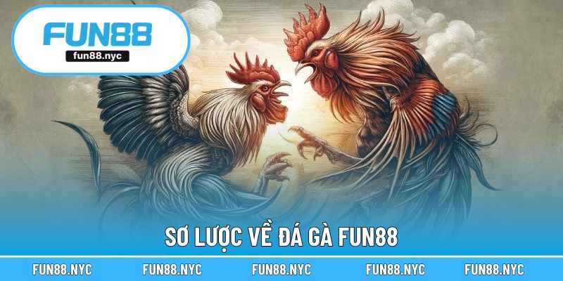 Sơ lược về đá gà FUN88