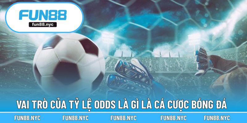 Vai trò trong cách tính tỷ lệ Odds là gì